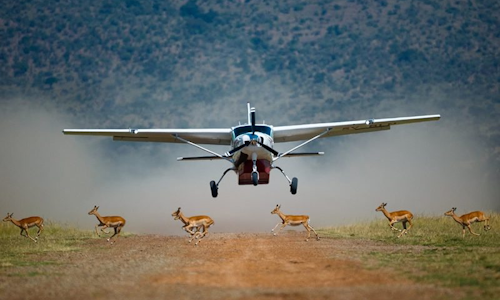 5 Days Kenya Flying Safari